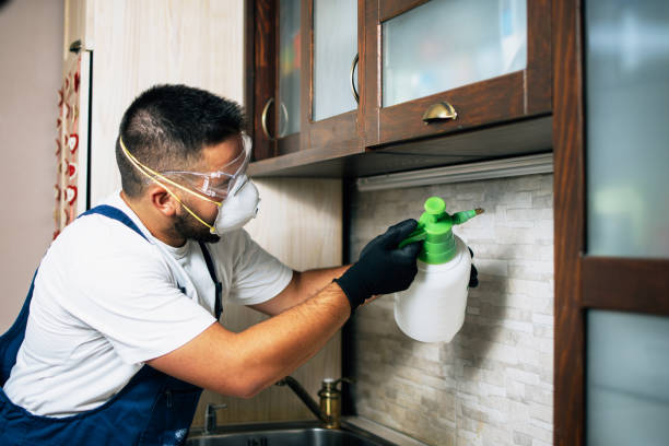 Best Insect Control  in Lockeford, CA