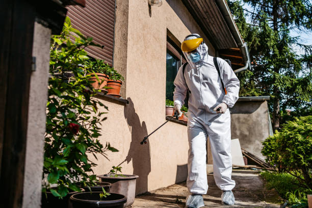 Best Pest Prevention Services  in Lockeford, CA