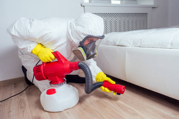 Best Affordable Pest Control Services  in Lockeford, CA
