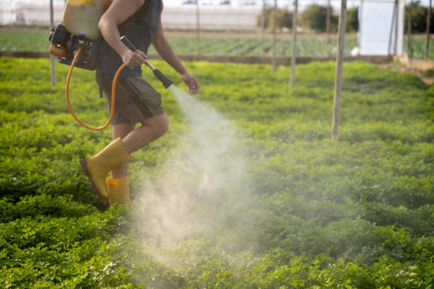 Best Residential Pest Control  in Lockeford, CA