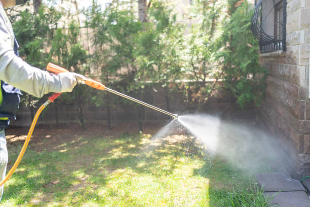 Best Affordable Pest Control Services  in Lockeford, CA