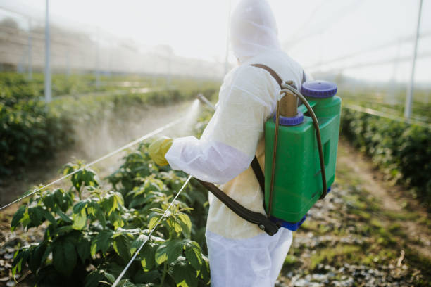 Best Exterminator Services  in Lockeford, CA